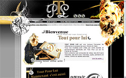 http://www.accessoirespourchiens.com/manteau-chien.htm